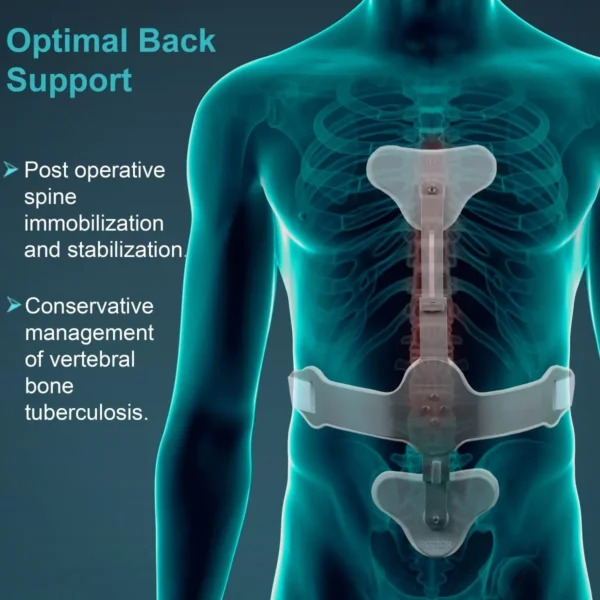 ash brace (hyper extension brace)