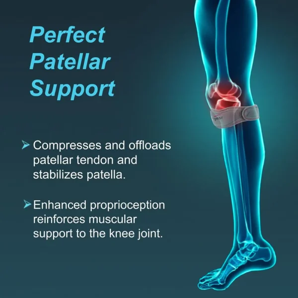 patellar support patellar support