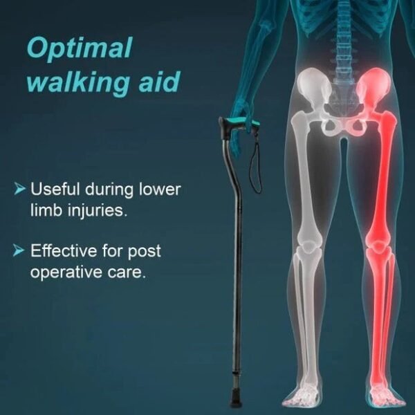 Tynor Walking Stick L-07