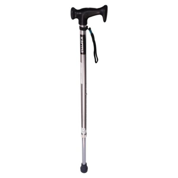 Karma Walking Stick-121